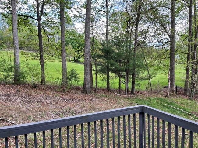 46 Badger Run in Hendersonville, NC - Building Photo - Building Photo