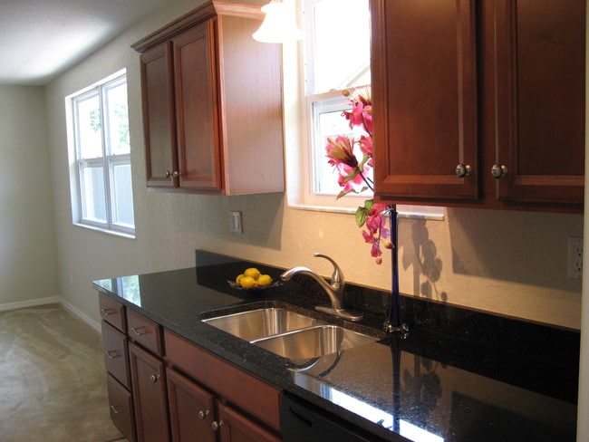 423 Wildwood Way in Belleair, FL - Building Photo - Building Photo