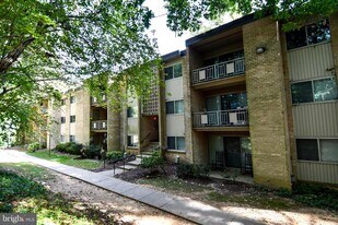 12415 Braxfield Ct in Rockville, MD - Building Photo