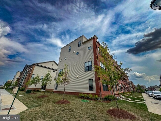 22950 Camilla Springs Sq in Brambleton, VA - Building Photo - Building Photo