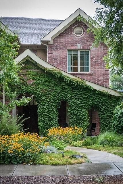 595 S Corona St in Denver, CO - Building Photo