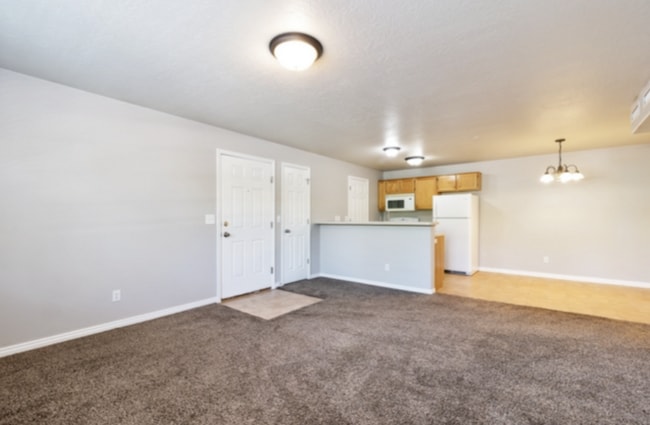 1219 S 1850 W in Springville, UT - Building Photo - Building Photo