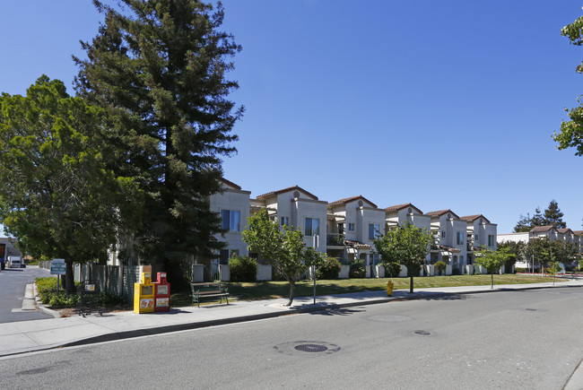 Terrace Gardens in Milpitas, CA - Building Photo - Building Photo