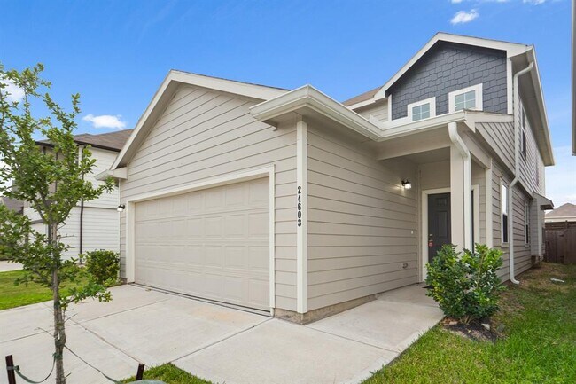 property at 24603 Porta Borsari Dr