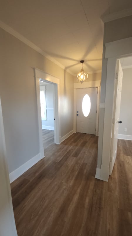 121 Dunn Fall River Rd in Leoma, TN - Foto de edificio - Building Photo