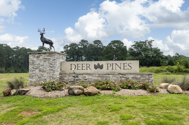 Deer Pines in Cut And Shoot, TX - Building Photo - Building Photo