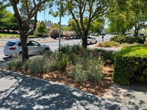 443 San Marin Dr in Novato, CA - Building Photo - Building Photo