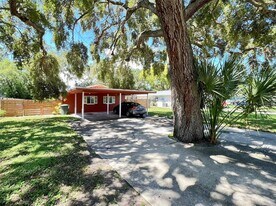 559 Laura Ln in Dunedin, FL - Building Photo