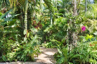 1107 NE 118th St in Biscayne Park, FL - Building Photo - Building Photo