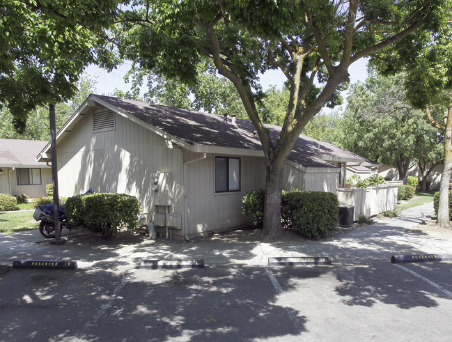 Olive Court in Davis, CA - Foto de edificio - Building Photo