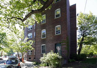 271 Huron Ave in Cambridge, MA - Building Photo - Building Photo