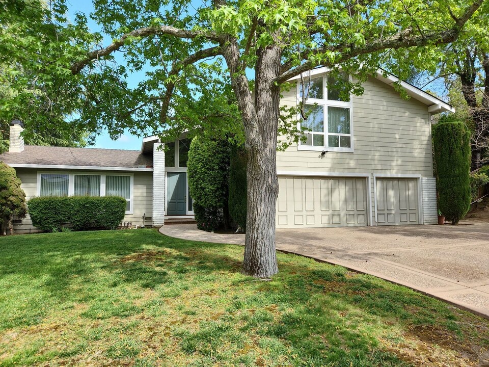 105 Bando Ct in Alamo, CA - Foto de edificio