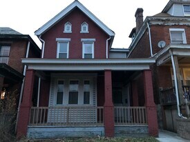 239 Zara St in Pittsburgh, PA - Building Photo