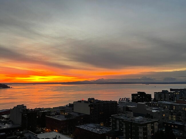 2201 3rd Ave, Unit 1704 in Seattle, WA - Building Photo - Building Photo