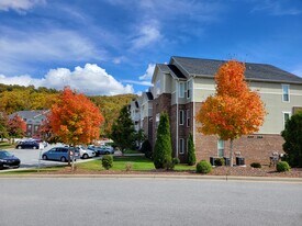 Palisades of Asheville