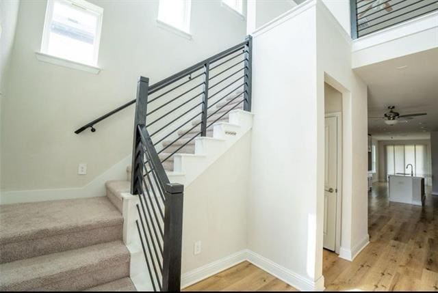 10950 Downy Cup Dr in Frisco, TX - Building Photo - Building Photo