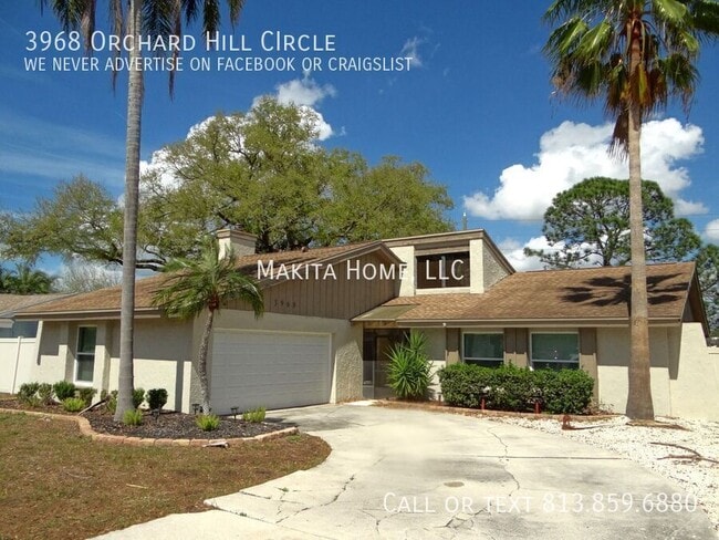 3968 Orchard Hill Cir in Palm Harbor, FL - Building Photo - Building Photo
