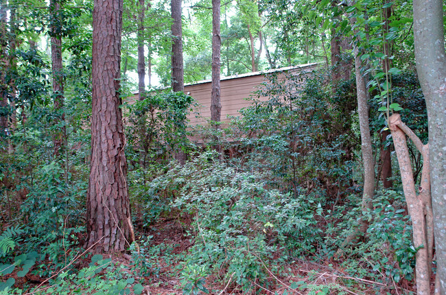 302 Wood Grove Ct in Tallahassee, FL - Building Photo - Building Photo