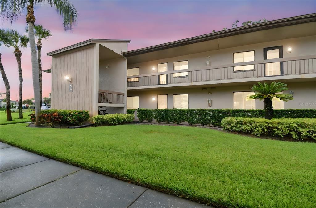 204 Mary Dr in Oldsmar, FL - Building Photo