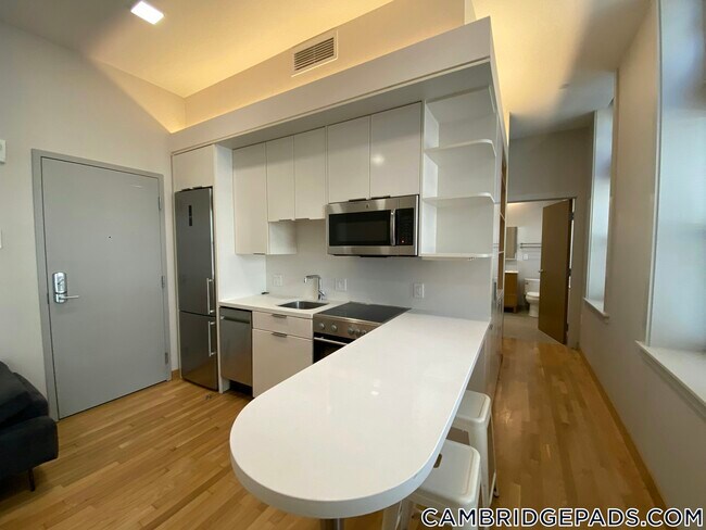 115 Mt Auburn St in Cambridge, MA - Building Photo - Building Photo
