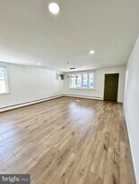 1007 Ripley St in Philadelphia, PA - Building Photo