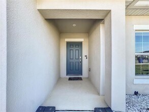 229 White Heron Wy in St. Cloud, FL - Building Photo - Building Photo