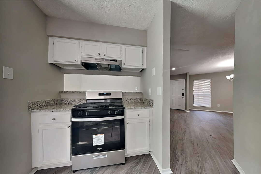 19 Morning Forest Ct in Spring, TX - Building Photo