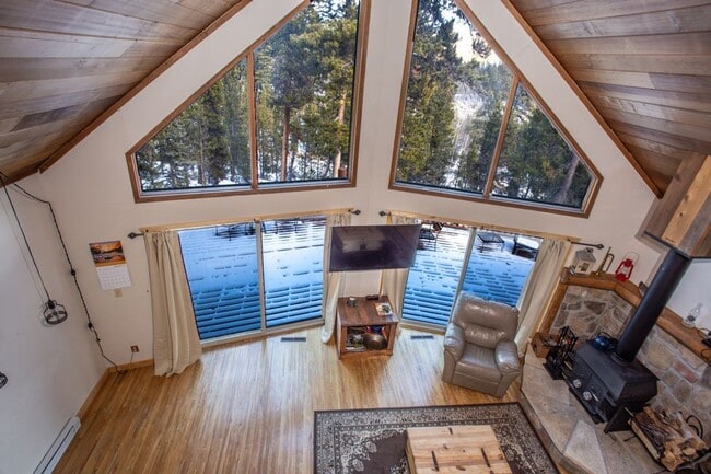 204 Skidoo Rd in Fairplay, CO - Building Photo - Building Photo