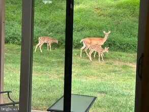 28 Flintlock Ln in Chesterbrook, PA - Building Photo - Building Photo