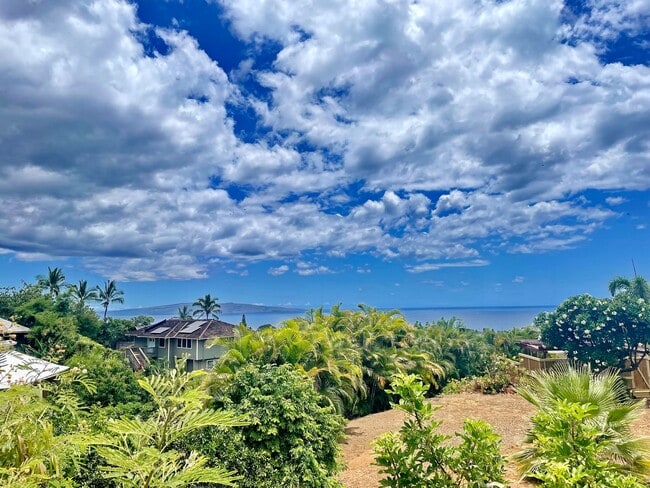 3258 Waileia Pl in Kihei, HI - Building Photo - Building Photo