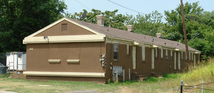 351 Hernando St in Memphis, TN - Building Photo - Building Photo