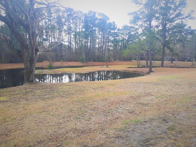 804 Gull Ln in New Bern, NC - Building Photo - Building Photo