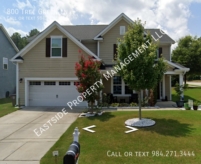 property at 800 Tree Green Ln
