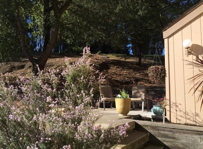 123 Spyglass Hill Rd in San Jose, CA - Building Photo - Building Photo