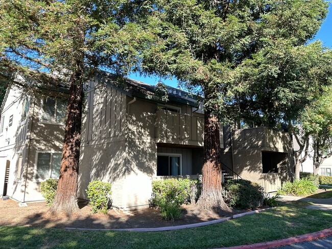 2295 Lakeview Cir in Pittsburg, CA - Foto de edificio - Building Photo