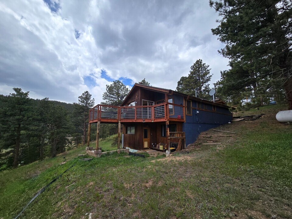 229 Crestwood Ct in Nederland, CO - Building Photo