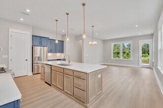 299 Suwannee Dr in Inlet Beach, FL - Building Photo - Building Photo