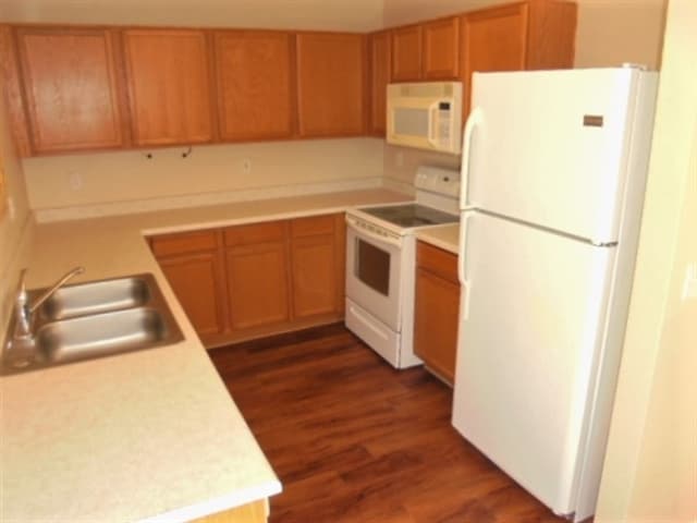 10778 W Louise Dr in Sun City, AZ - Building Photo - Building Photo