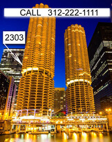 300 N State St, Unit 2302 in Chicago, IL - Building Photo