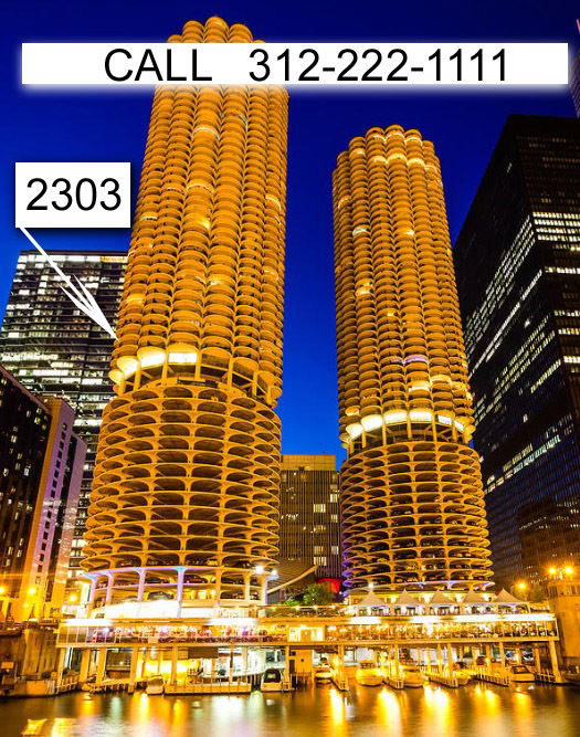 300 N State St, Unit 2302 in Chicago, IL - Building Photo
