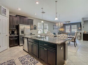 28642 Tranquil Lake Cir in Zephyrhills, FL - Foto de edificio - Building Photo