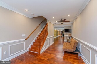 316 Albemarle St in Baltimore, MD - Building Photo - Building Photo