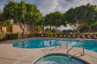 Pool - Parkwood Apartments in Phoenix, Arizona