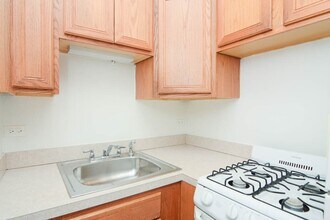 516 W Melrose St, Unit 804 in Chicago, IL - Building Photo - Building Photo