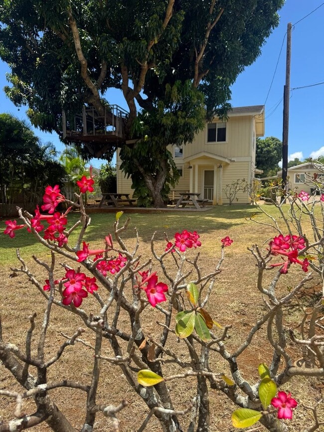 property at 66-371-371 Kaamooloa Rd