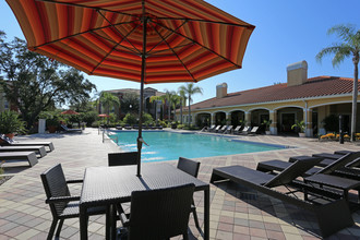 Camden Visconti in Tampa, FL - Building Photo - Building Photo