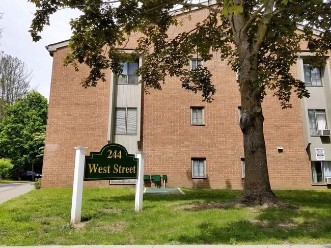 244 West St in Mt Kisco, NY - Building Photo