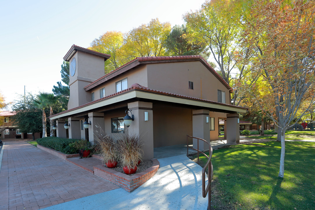 Desert Tree Apartment Homes in El Paso, TX - Building Photo