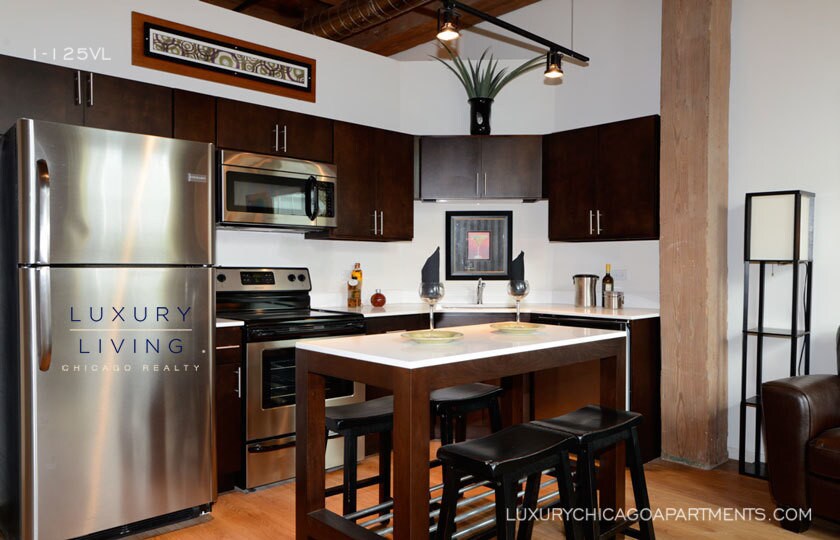 125 E 21st St-Unit -410 in Chicago, IL - Building Photo