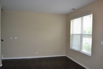 242 Springbrook Trail S in Oswego, IL - Building Photo - Building Photo